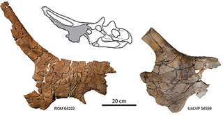 Illustration for article titled Mercuriceratops: flashy Cadillac of the late Cretaceous